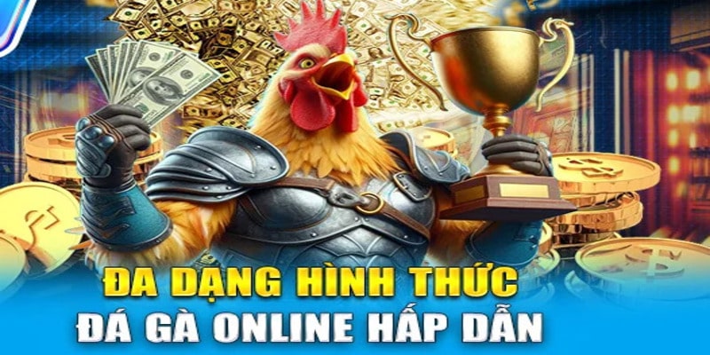 Sân chơi mang đến các hình thức cược đa dạng